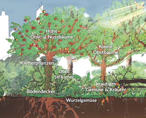 Urbane Waldgärten – Vegetationsschichten